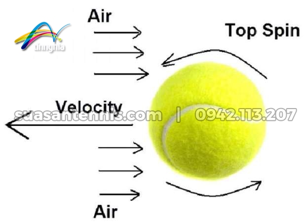 cú đánh bóng xoáy Topspin